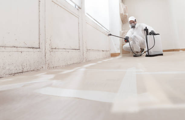 24/7 Emergency Basement Mold Remediation experts in Atlanta, IL