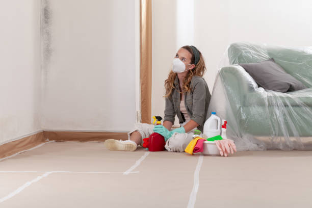 Reliable Basement Mold Remediation contractor in Atlanta, IL by WQB Mold Removal
